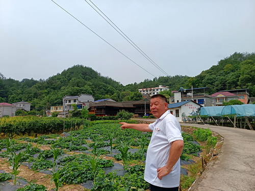 1750488539203662.jpg IMG_20250607_105406_副本.jpg