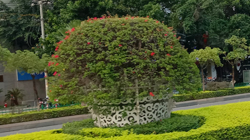1759468228542950.jpg 图片8.jpg