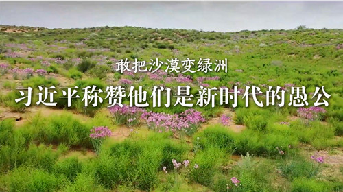 1751250342151978.jpg QQ20250630-102242_副本.jpg