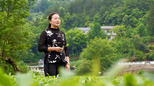 1753069470116583.jpg 图片7.jpg