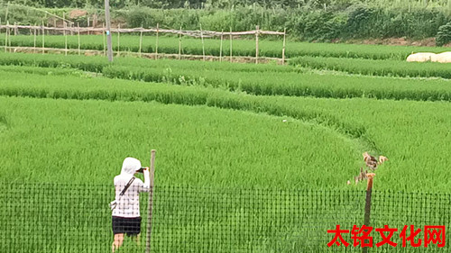 1753783516970338.jpg 微信图片_20250729180002.jpg