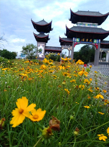 1759757148961864.jpg 图片1.jpg