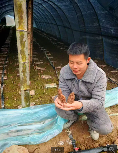 1768663323163175.jpg QQ20260117-231737_副本.jpg