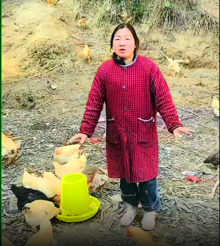 1769407128813288.jpg QQ20260126-135758_副本.jpg