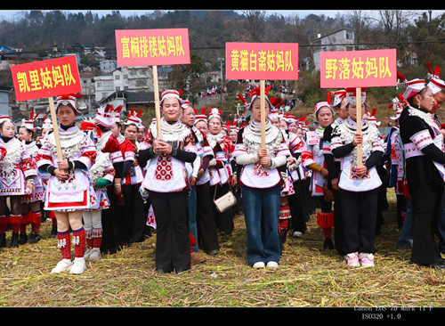 参加民俗活动的部分姑妈队代表（局部）.JPG